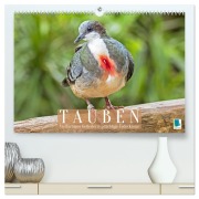 Cover-Bild zum Titel 'Tauben: vielfarbiges Gefieder und prächtige Federkrone (hochwertiger Premium Wandkalender 2026 DIN A2 quer), Kunstdruck in Hochglanz' von 'Calvendo Calvendo'