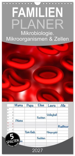 Familienplaner 2027 - Mikrobiologie. Mikroorganismen und Zellen mit 5 Spalten (Wandkalender, 21 x 45 cm) CALVENDO - Elisabeth Stanzer