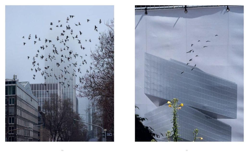 InsideView 12