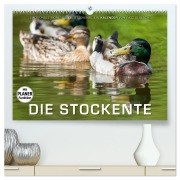 Cover-Bild zum Titel 'Emotionale Momente: Die Stockente. (hochwertiger Premium Wandkalender 2026 DIN A2 quer), Kunstdruck in Hochglanz' von 'Ingo Gerlach'