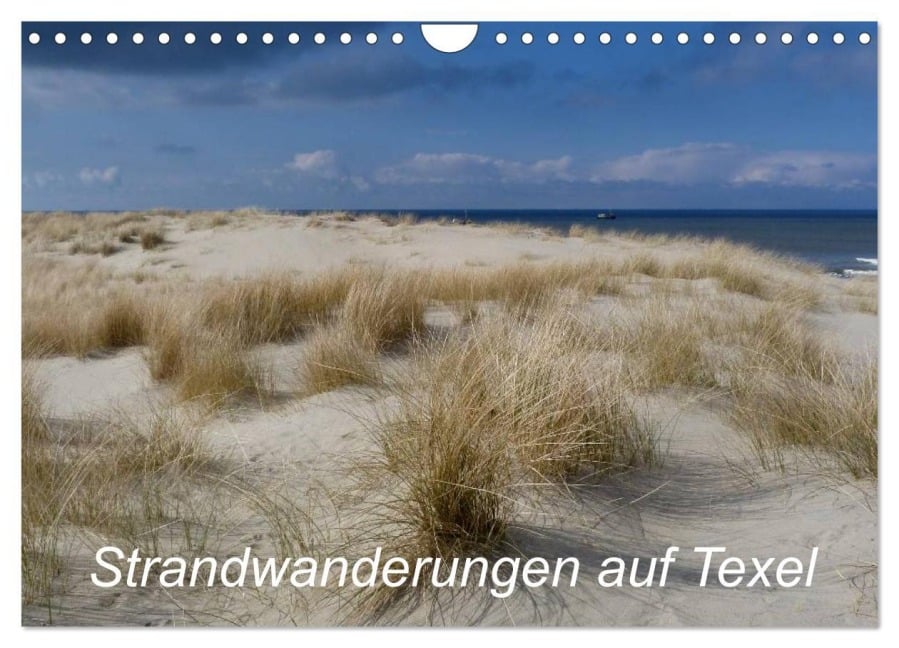 Strandwanderungen auf Texel (Wandkalender 2026 DIN A4 quer), CALVENDO Monatskalender - Ute Stehlmann