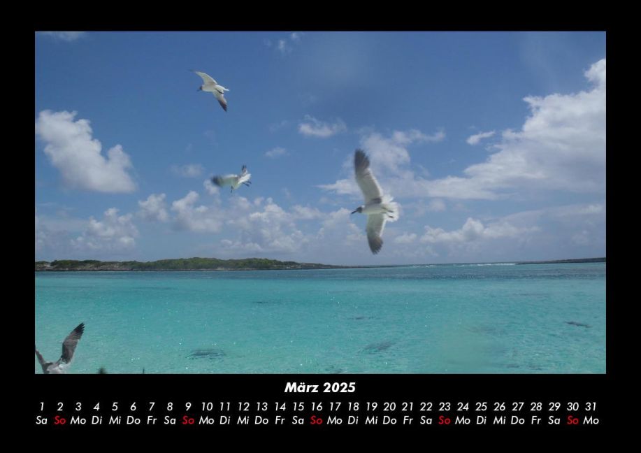 InsideView 7