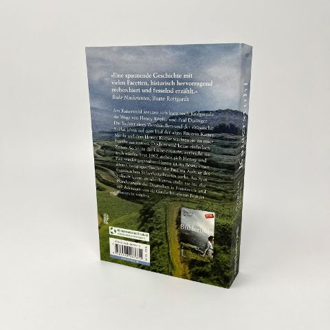 InsideView 2