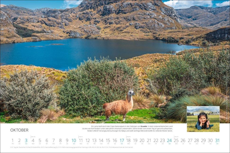 InsideView 10