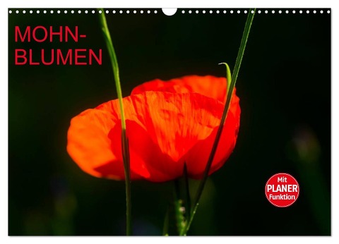 Mohnblumen (Wandkalender 2025 DIN A3 quer), CALVENDO Monatskalender - Anette/Thomas Jäger