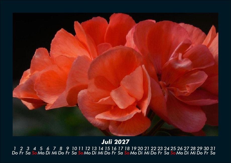 InsideView 11