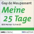 Cover-Bild zum Titel 'Meine 25 Tage' von 'Guy de Maupassant'