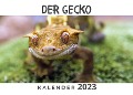 Der Gecko - Bibi Hübsch