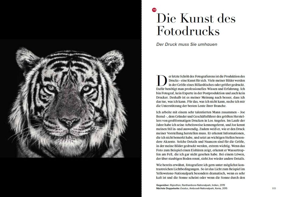 InsideView 5