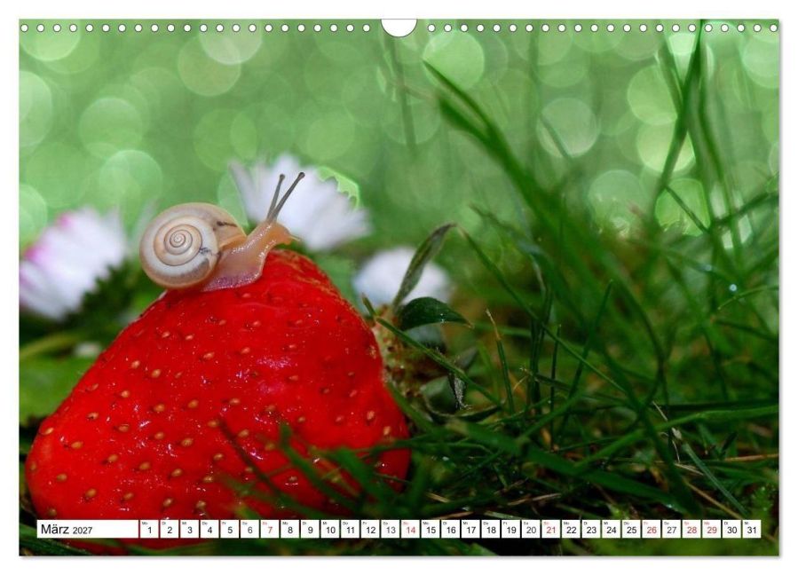 InsideView 8