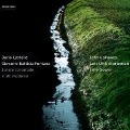 Cover-Bild zum Titel 'Sonate In Stil Moderno' von 'John/Gower Holloway'