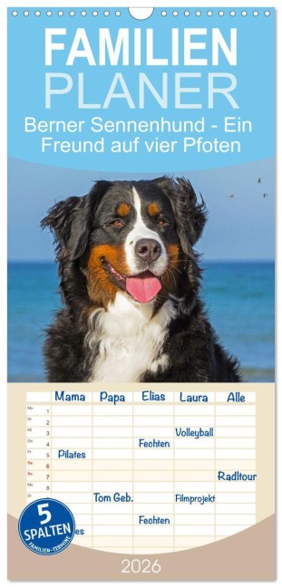Familienplaner 2026 - Berner Sennenhund - Ein Freund auf vier Pfoten mit 5 Spalten (Wandkalender, 21 x 45 cm) CALVENDO - Sigrid Starick