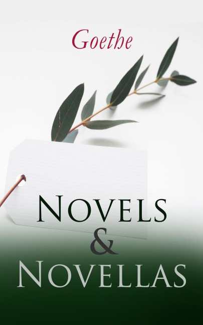 Goethe: Novels & Novellas - Johann Wolfgang von Goethe