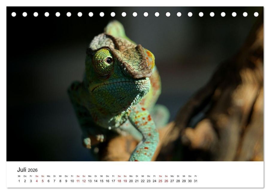 InsideView 12