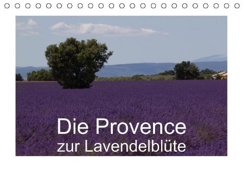 Die Provence zur Lavendelblüte (Tischkalender immerwährend DIN A5 quer) - Susanne Schröder