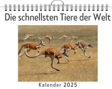 Cover-Bild zum Titel 'Die schnellsten Tiere der Welt' von 'Lucy Werner'