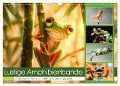 Lustige Amphibienbande (Wandkalender 2025 DIN A3 quer), CALVENDO Monatskalender - Steffen Gierok-Latniak