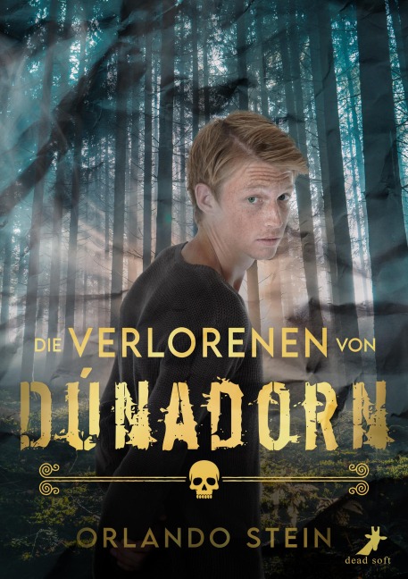 Die Verlorenen von Dúnadorn - Orlando Stein