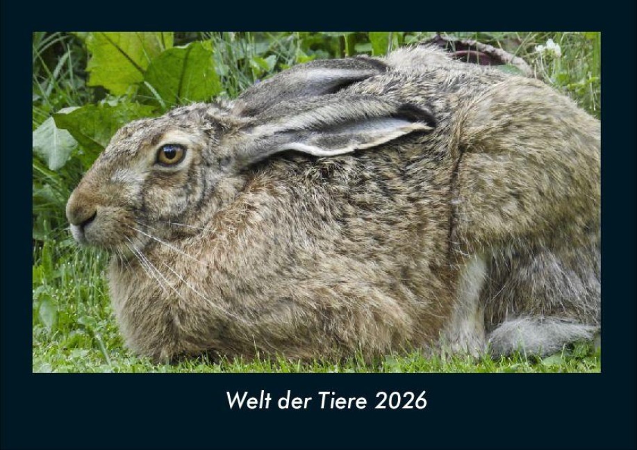Welt der Tiere 2026 Fotokalender DIN A4 - Tobias Becker