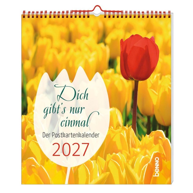Dich gibt's nur einmal 2027 - 
