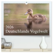 Deutschlands Vogelwelt (hochwertiger Premium Wandkalender 2026 DIN A2 quer), Kunstdruck in Hochglanz - Thies Wiechert