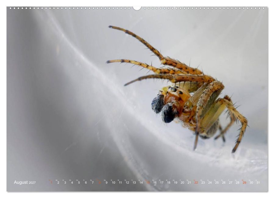 InsideView 13