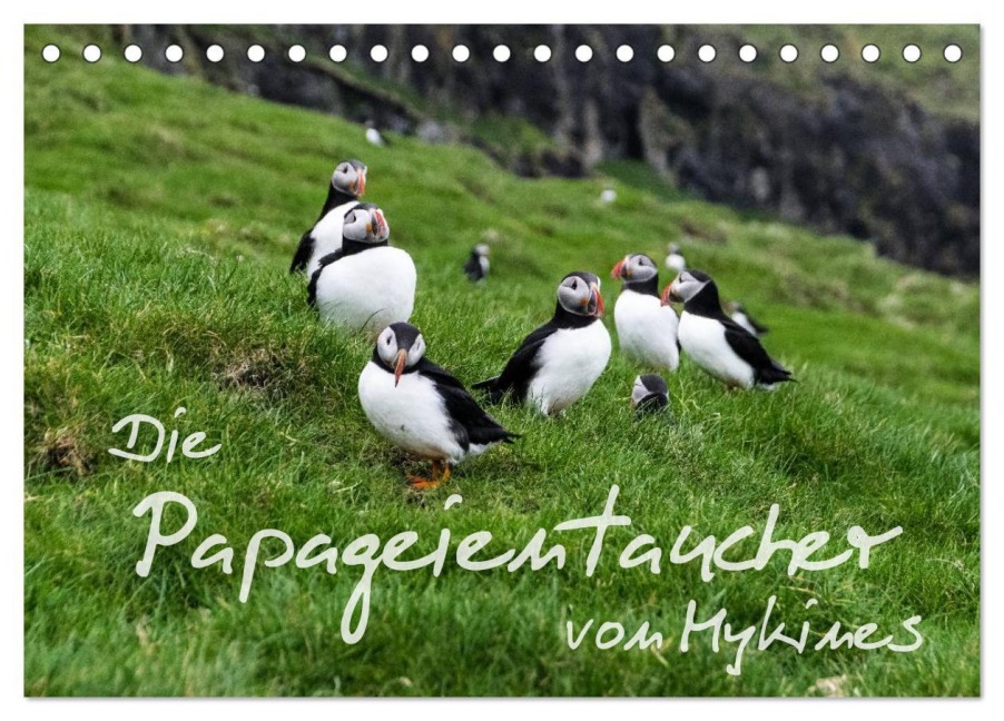 Die Papageientaucher von Mykines (Tischkalender 2026 DIN A5 quer), CALVENDO Monatskalender - Sören Gelbe-Haußen