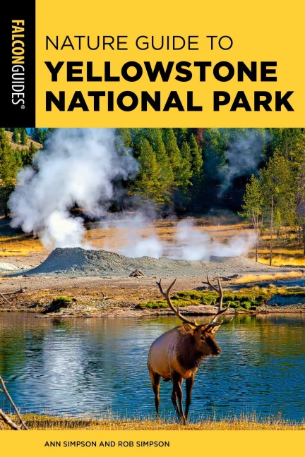 Nature Guide to Yellowstone National Park - Ann Simpson, Rob Simpson