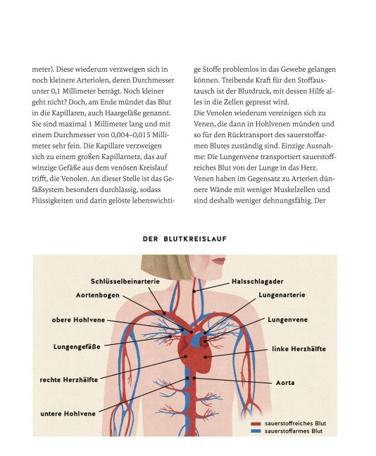 InsideView 17