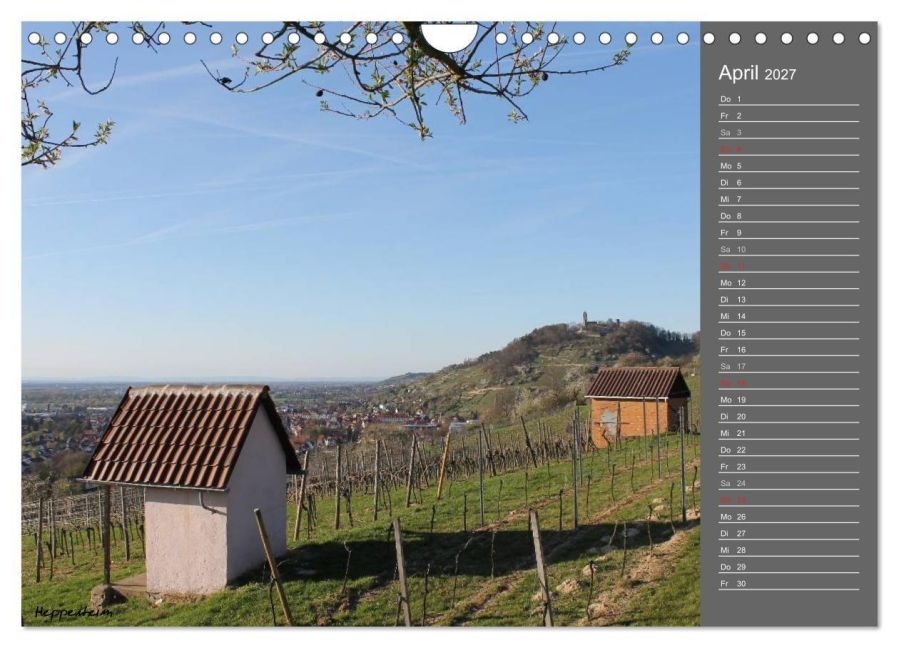 InsideView 9