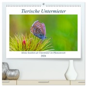Tierische Untermieter (hochwertiger Premium Wandkalender 2026 DIN A2 quer), Kunstdruck in Hochglanz - Clemens Stenner