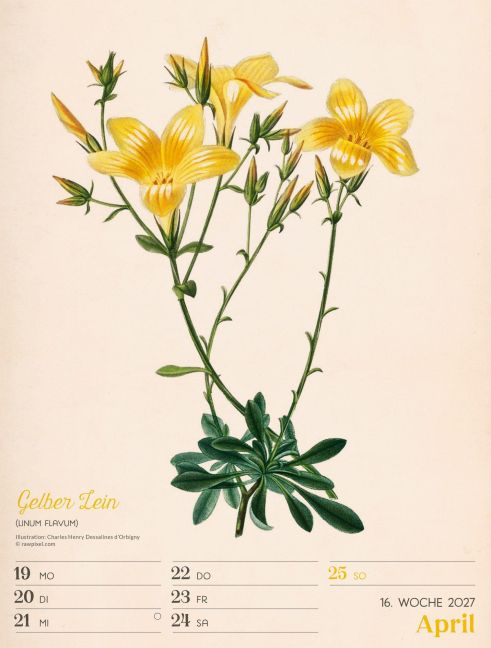 InsideView 20