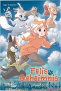 Cover-Bild zum Titel 'Felis Geheimnis' von 'Inga Steinmetz'