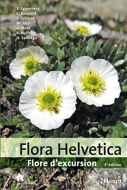 Flora Helvetica - Guide d'excursions - Stefan Eggenberg, Christophe Bornand, Philippe Juillerat, Michael Jutzi, Adrian Möhl