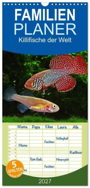 Familienplaner 2027 - Killifische der Welt mit 5 Spalten (Wandkalender, 21 x 45 cm) CALVENDO - Rudolf Pohlmann