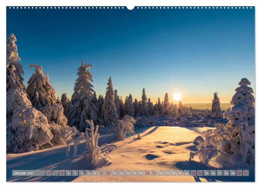 InsideView 6