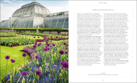 InsideView 1