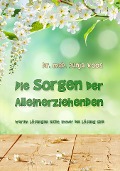 Cover-Bild zum Titel 'Die Sorgen der Alleinerziehenden' von 'Dunja Voos'