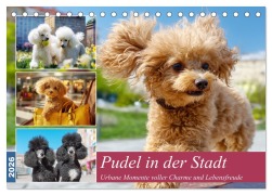 Pudel in der Stadt. Urbane Momente voller Charme und Lebensfreude (Tischkalender 2026 DIN A5 quer), CALVENDO Monatskalender - Rose Hurley