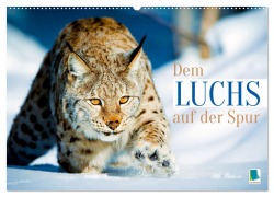 Cover-Bild zum Titel 'Dem Luchs auf der Spur (Wandkalender 2026 DIN A2 quer), CALVENDO Monatskalender' von 'Calvendo Calvendo'