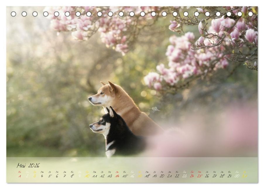 InsideView 10