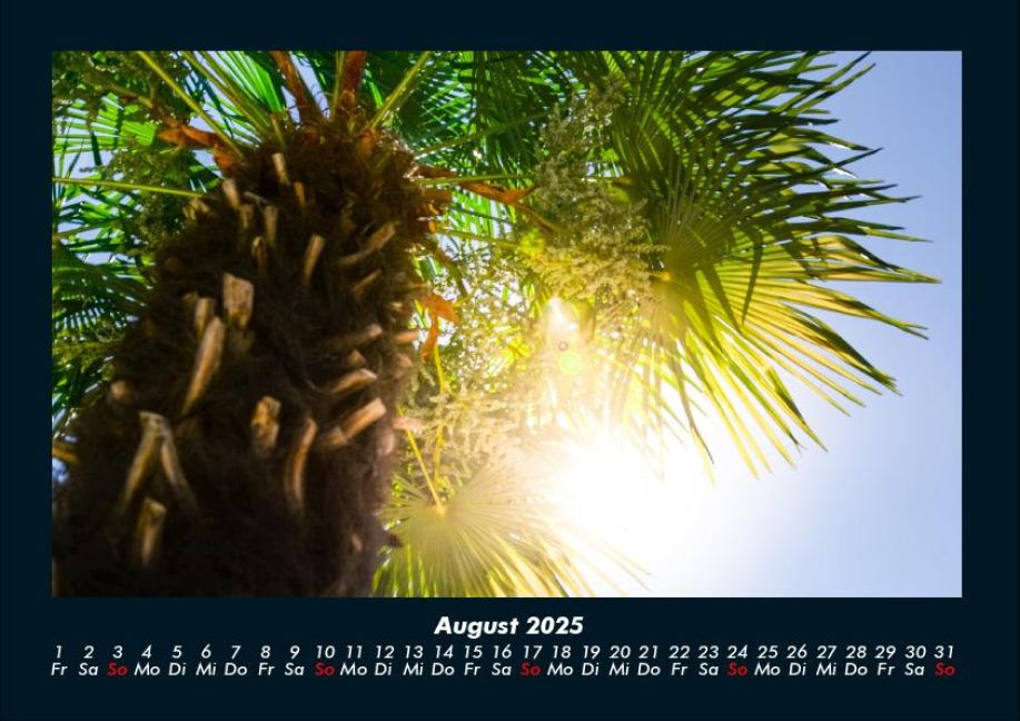 InsideView 12