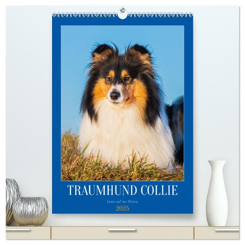 Traumhund Collie - Liebe auf vier Pfoten (hochwertiger Premium Wandkalender 2025 DIN A2 hoch), Kunstdruck in Hochglanz - Sigrid Starick
