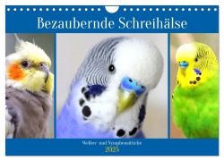 Bezaubernde Schreihälse. Wellen- und Nymphensittiche (Wandkalender 2025 DIN A4 quer), CALVENDO Monatskalender - Rose Hurley
