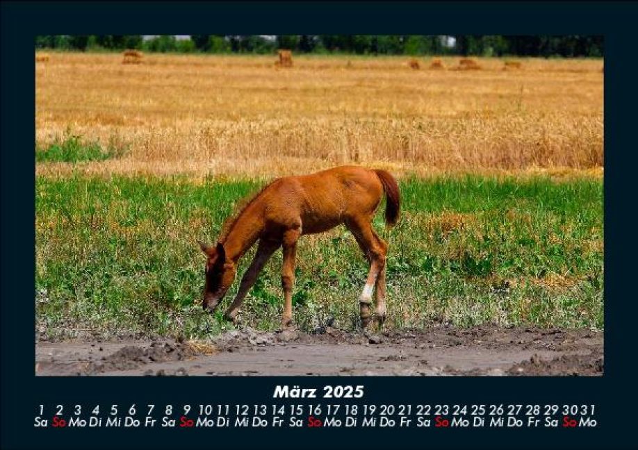 InsideView 7