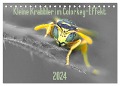 Kleine Krabbler im Colorkey-Effekt (Tischkalender 2024 DIN A5 quer), CALVENDO Monatskalender - Dany¿s Blickwinkel