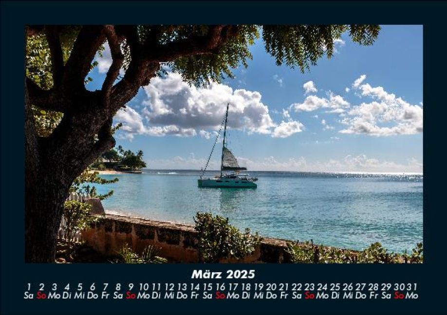 InsideView 7