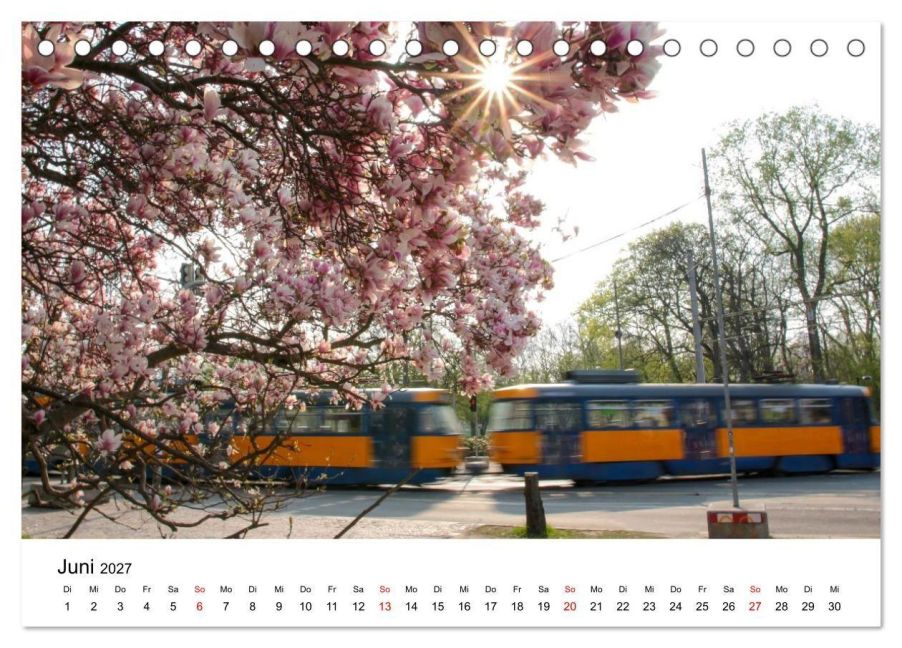 InsideView 11