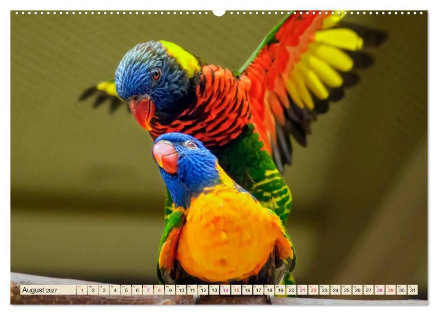 InsideView 12