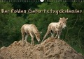 Cover-Bild zum Titel 'Der Fohlen-Geburtstagskalender (Wandkalender immerwährend DIN A3 quer)' von 'Martina Berg'